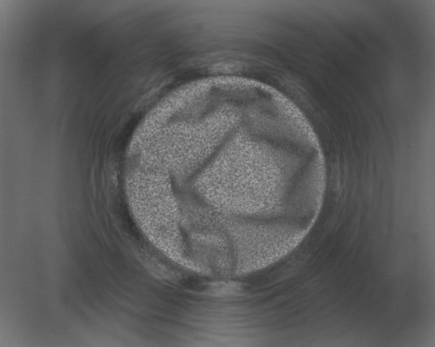 X0000080790363200701122154