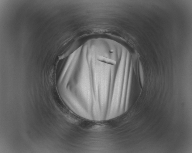 X0000080790364200701122154