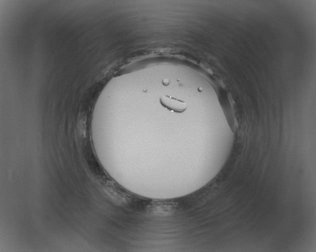 X0000080790368200701122154