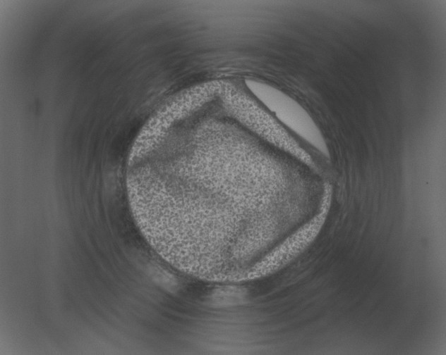 X0000080790369200701122154