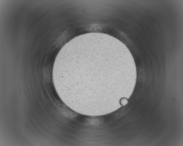 X0000080790370200701122154