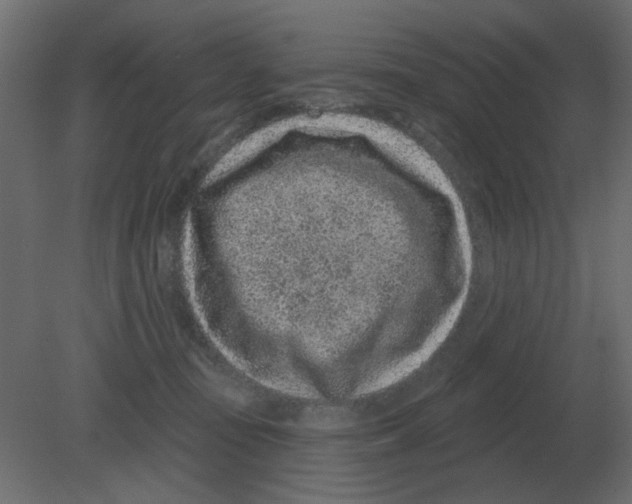 X0000080790371200701122154