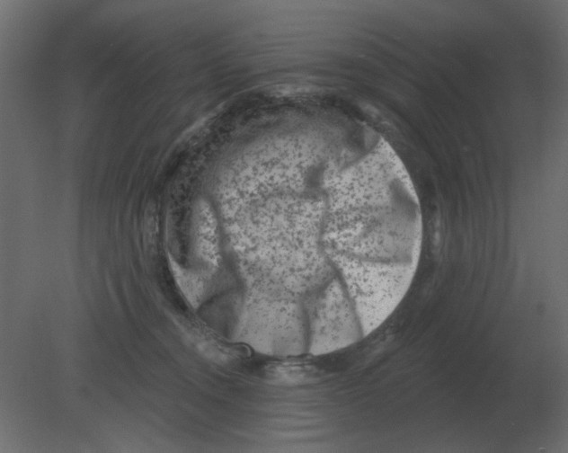 X0000080790372200701122154