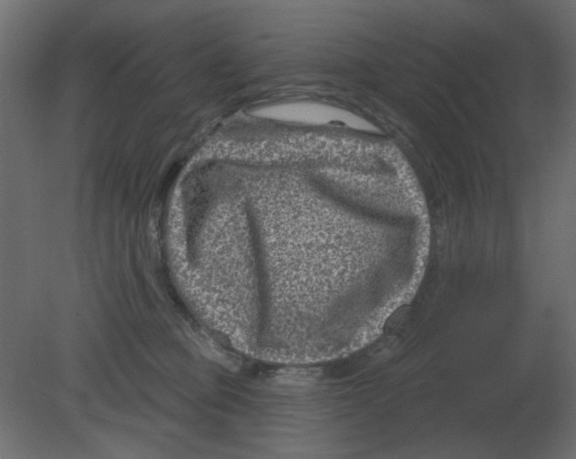 X0000080790373200701122154