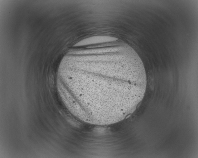 X0000080790375200701122154