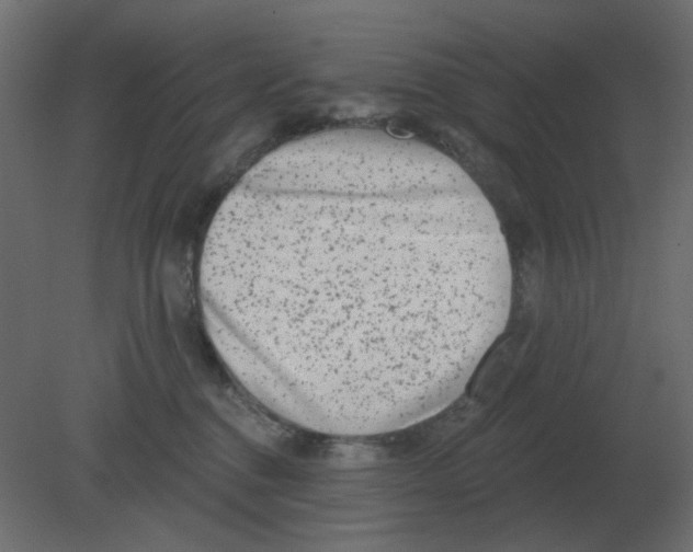 X0000080790376200701122154