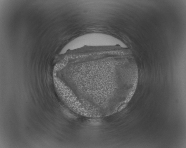 X0000080790377200701122154