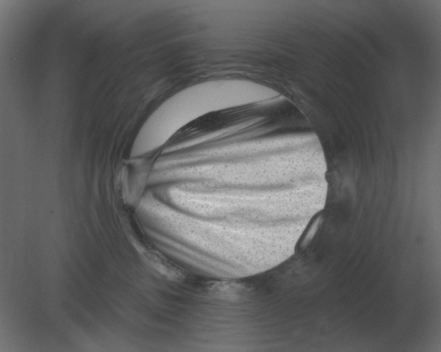 X0000080790379200701122154