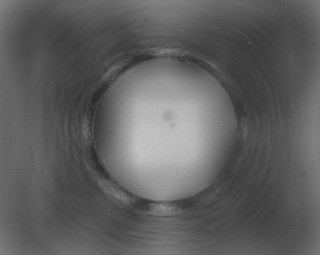 X0000080790380200701122154