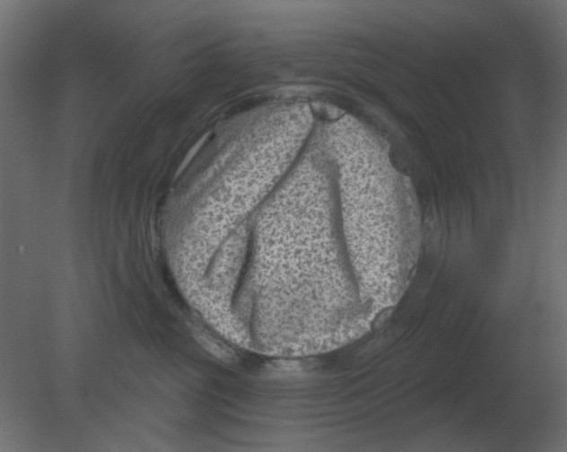 X0000080790381200701122154