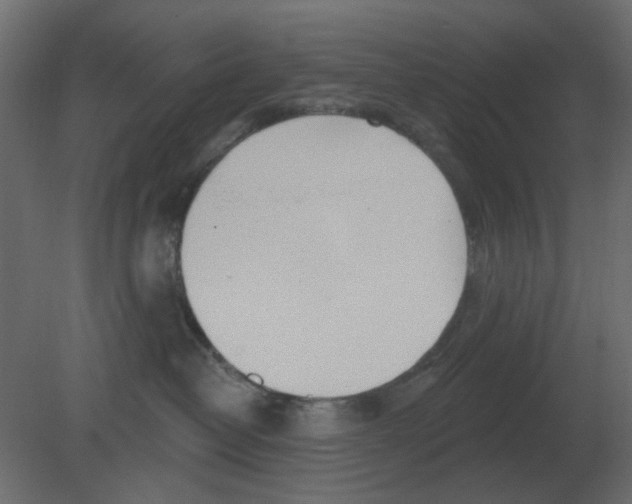 X0000080790382200701122154