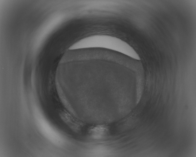 X0000080790383200701122154