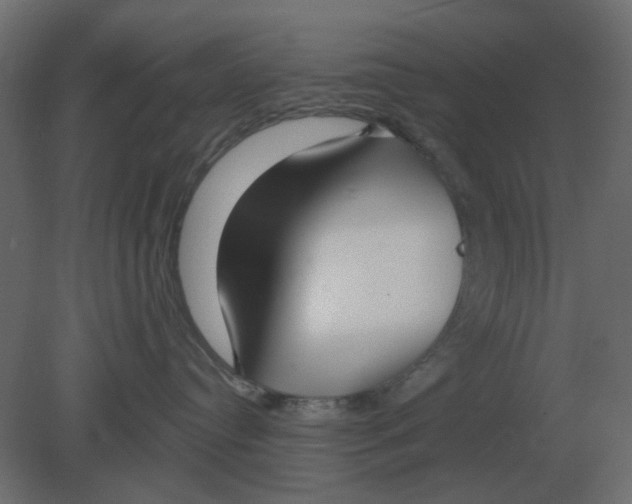 X0000080790384200701122154