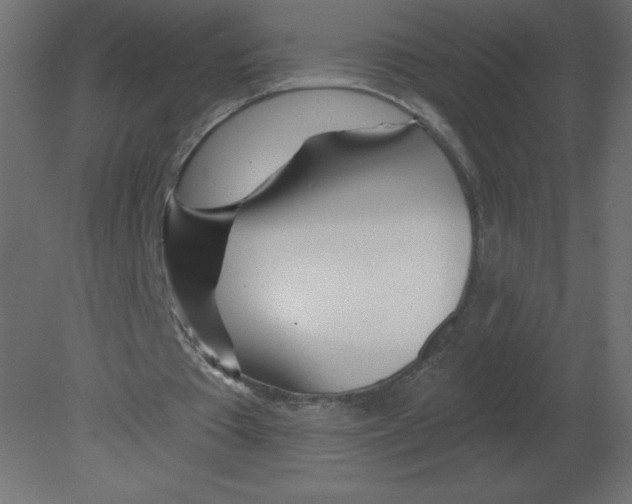 X0000080790385200701122153