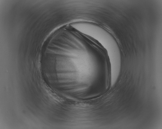 X0000080790387200701122153