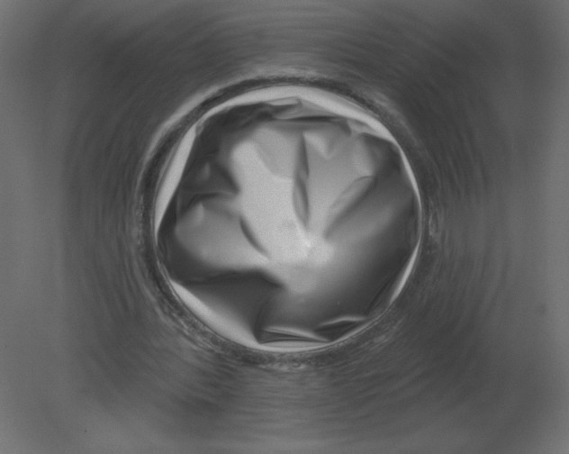 X0000080790388200701122153