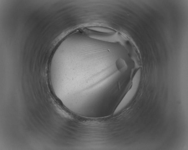 X0000080790389200701122153