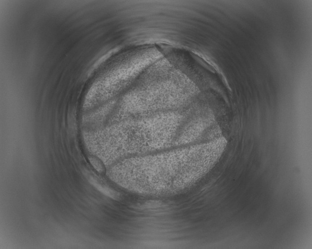 X0000080790390200701122153