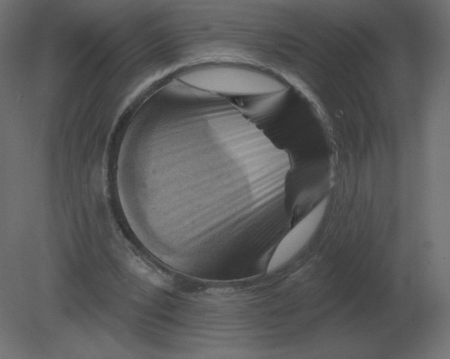 X0000080790391200701122153