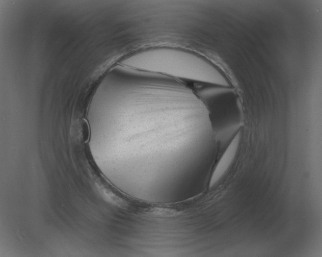 X0000080790393200701122153