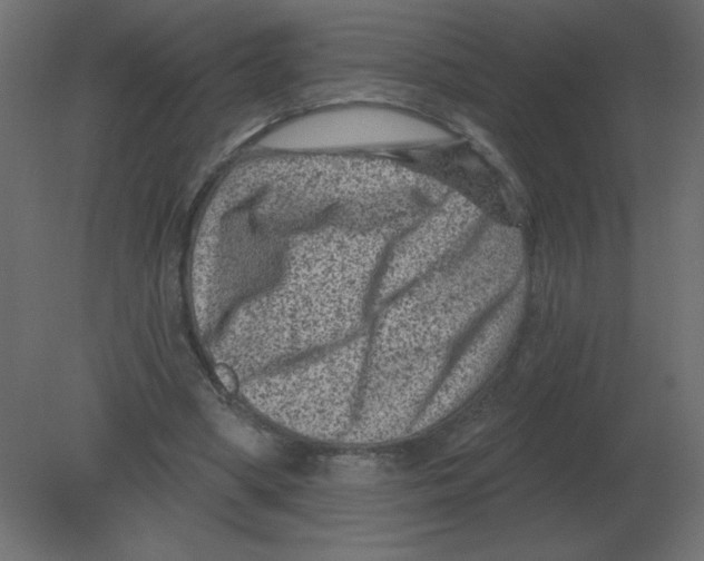 X0000080790394200701122153