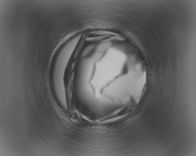 X0000080790395200701122153