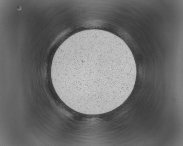 X0000080790396200701122153