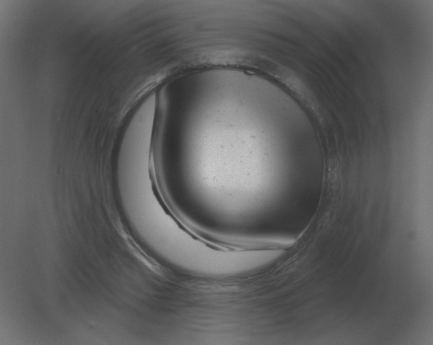 X0000080790397200701122153