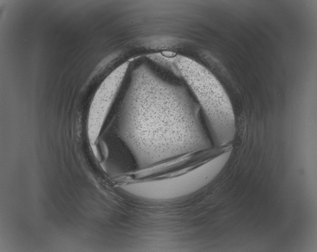 X0000080790400200701122153