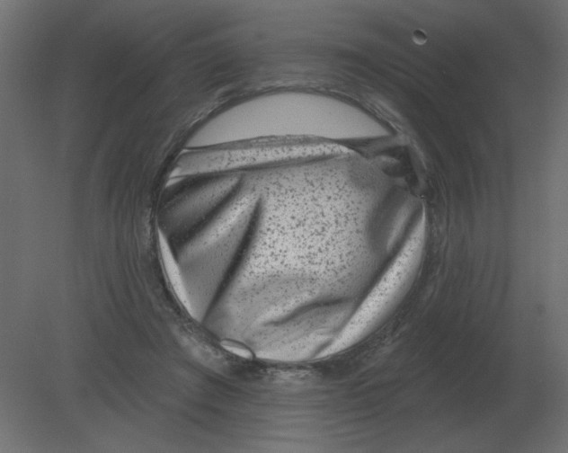 X0000080790401200701122153