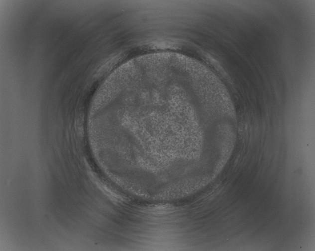 X0000080790402200701122153