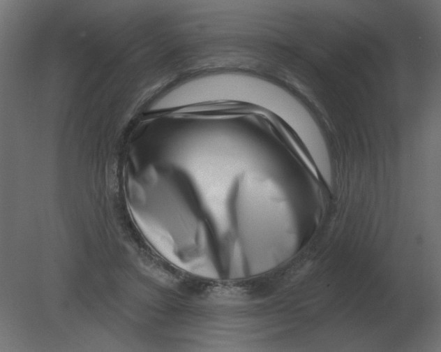 X0000080790403200701122153