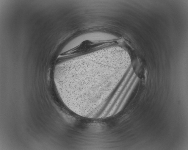 X0000080790404200701122153