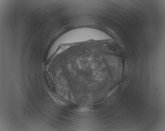 X0000080790405200701122153