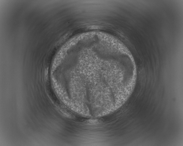 X0000080790406200701122153