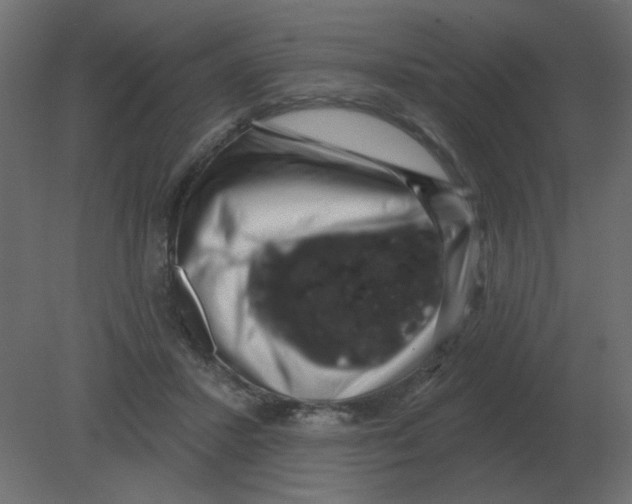 X0000080790407200701122153