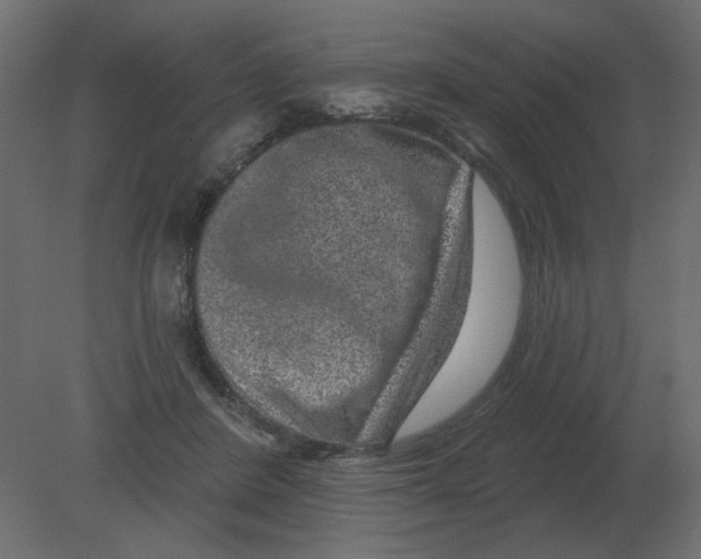 X0000080790408200701122153