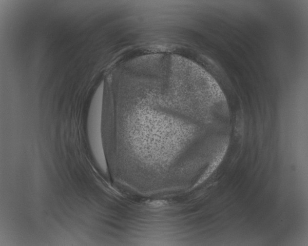 X0000080790409200701122153