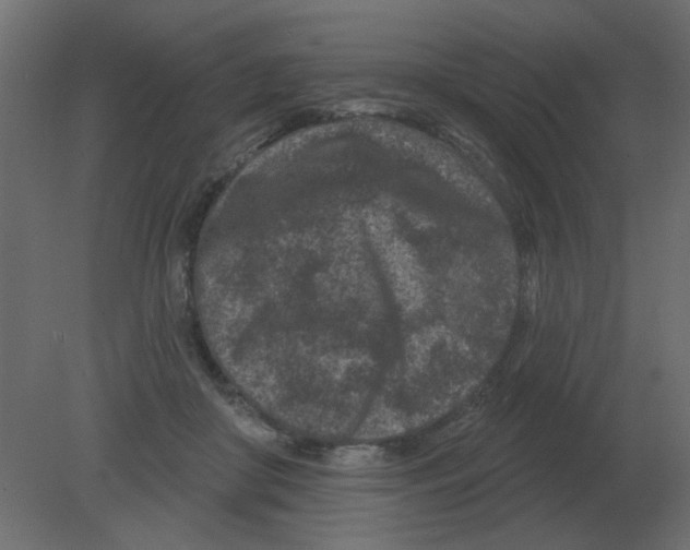 X0000080790410200701122153