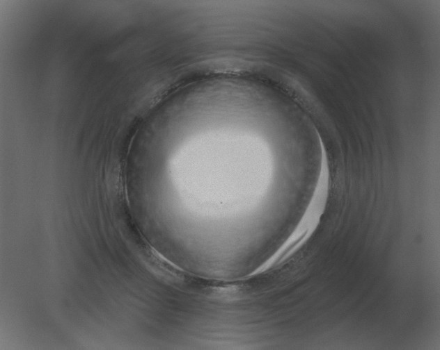 X0000080790411200701122153