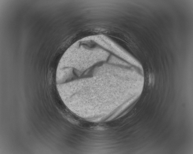 X0000080790412200701122153