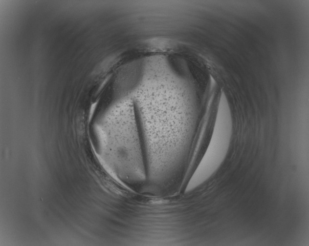 X0000080790413200701122153