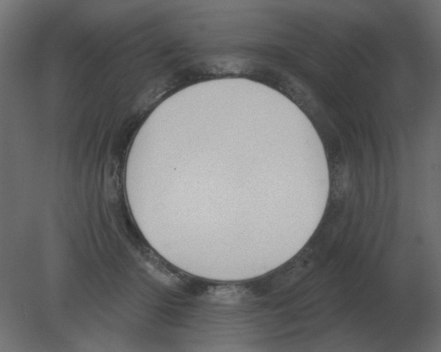 X0000080790414200701122153