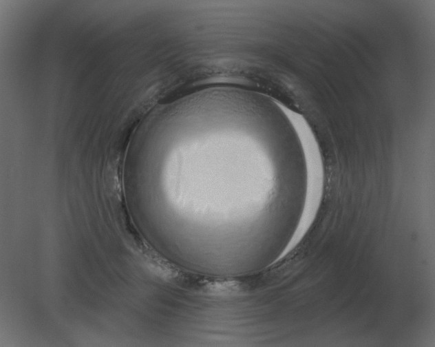 X0000080790415200701122153