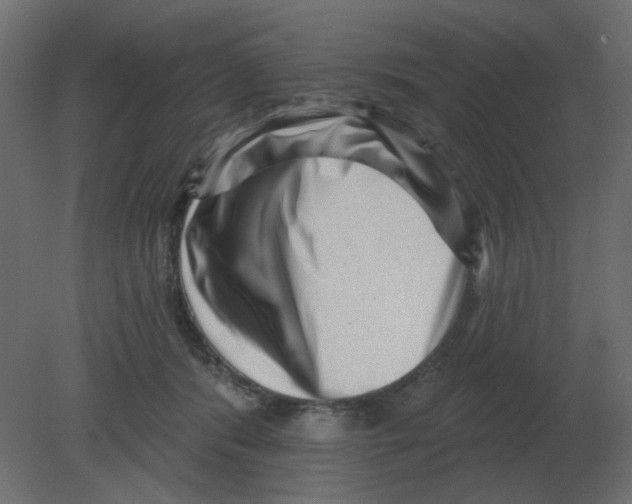 X0000080790416200701122153