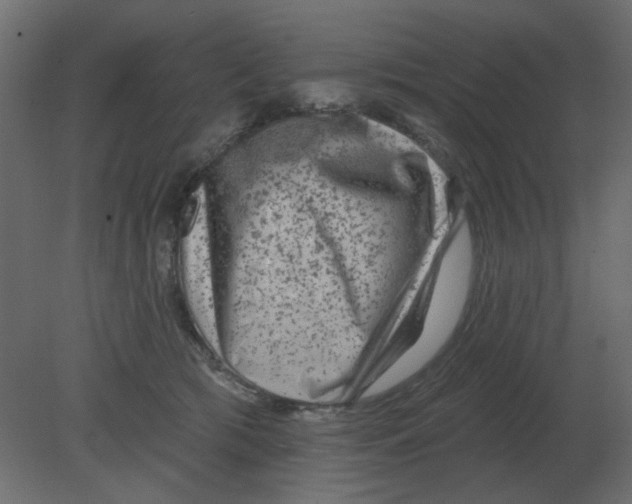 X0000080790417200701122153