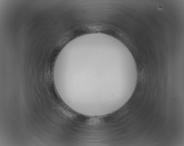 X0000080790418200701122153