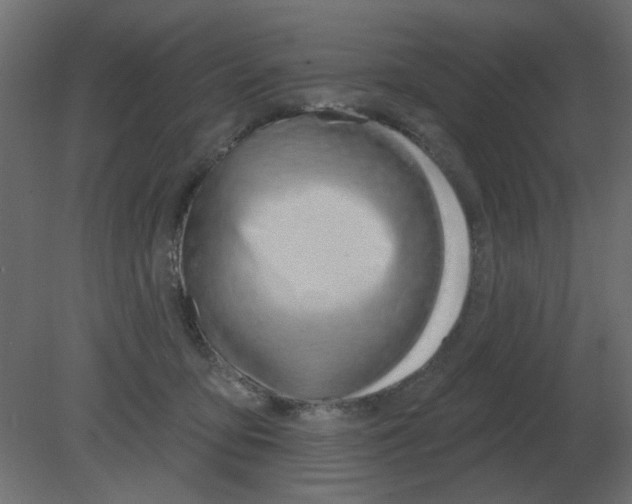 X0000080790419200701122153