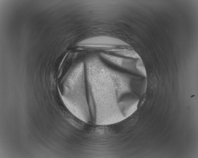 X0000080790420200701122153