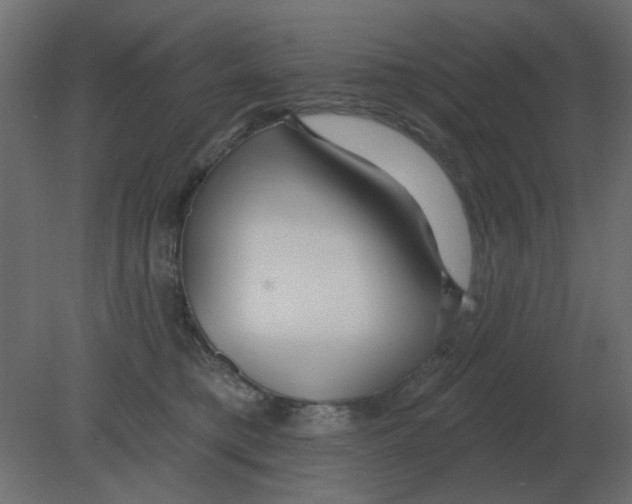 X0000080790421200701122153